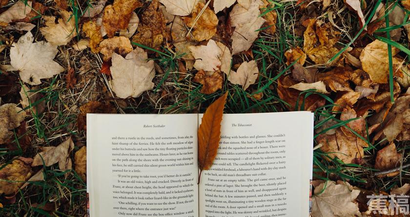 蕉稿查AI率,蕉稿降AIGC,蕉稿查AIGC免费论文查重