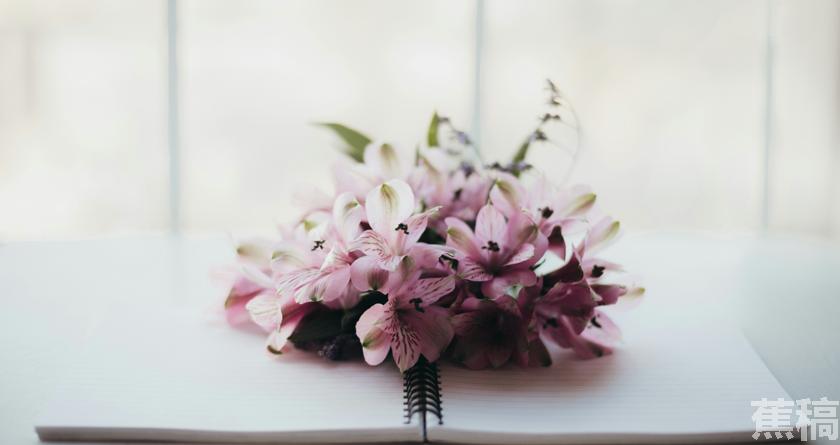 蕉稿查AI率,蕉稿降AIGC,蕉稿查AIGC免费论文查重